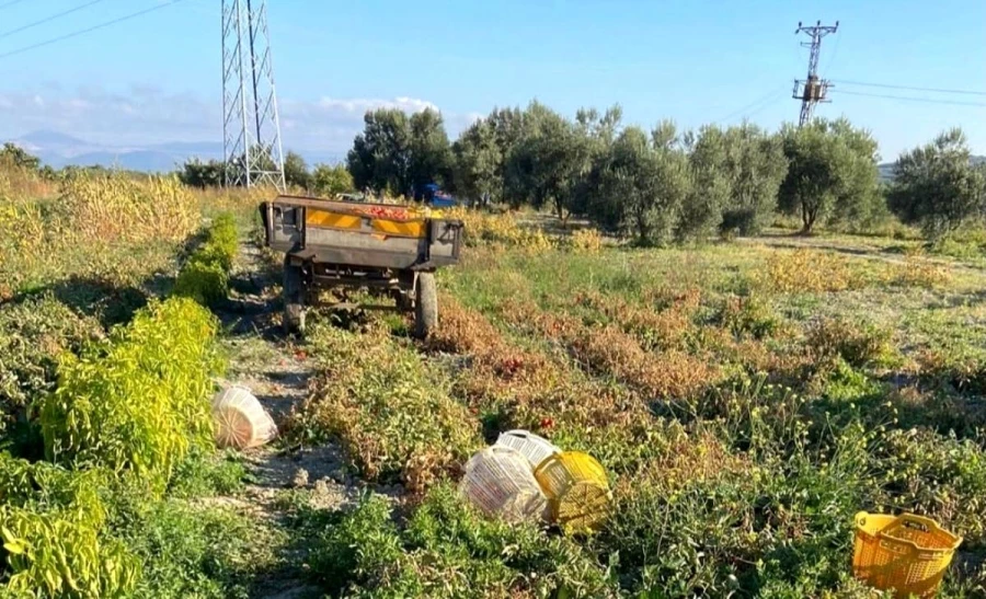 Traktörün altında kalan kadın hayatını kaybetti