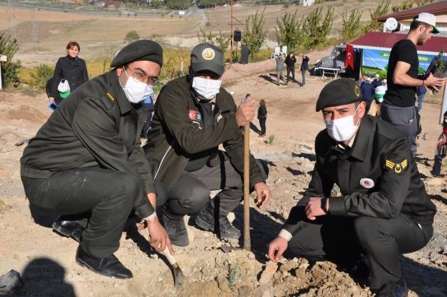 Manisa İlçelerinde binlerce fidan toprakla buluştu