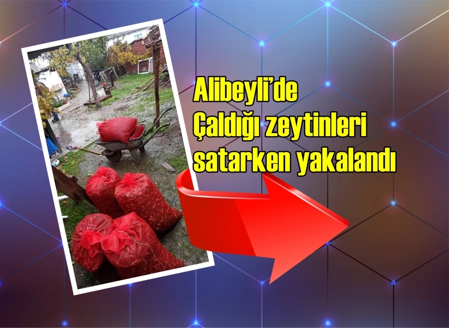 Alibeyli’de Çaldığı zeytinleri satarken yakalandı