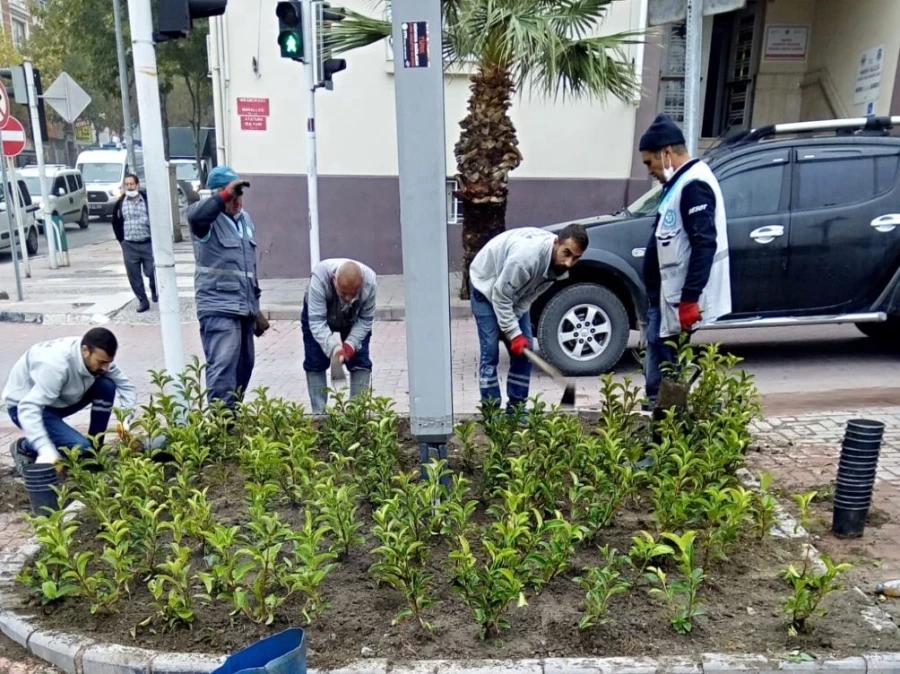 Yeşil Alanlar Kışa Hazırlanıyor