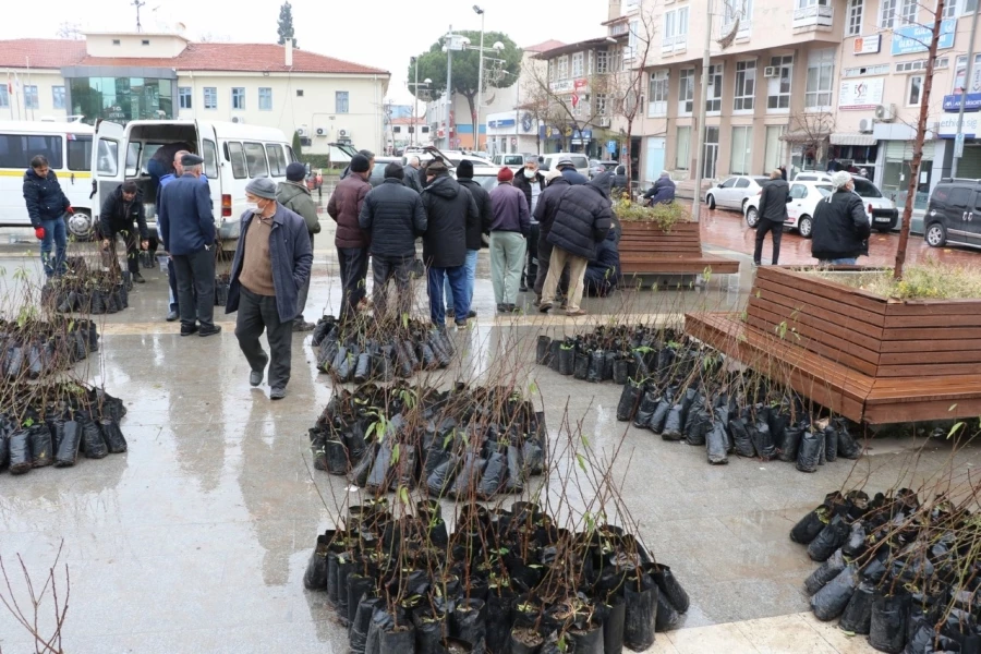 Büyükşehir 7 Bin Ceviz ve Badem Fidanı Dağıttı