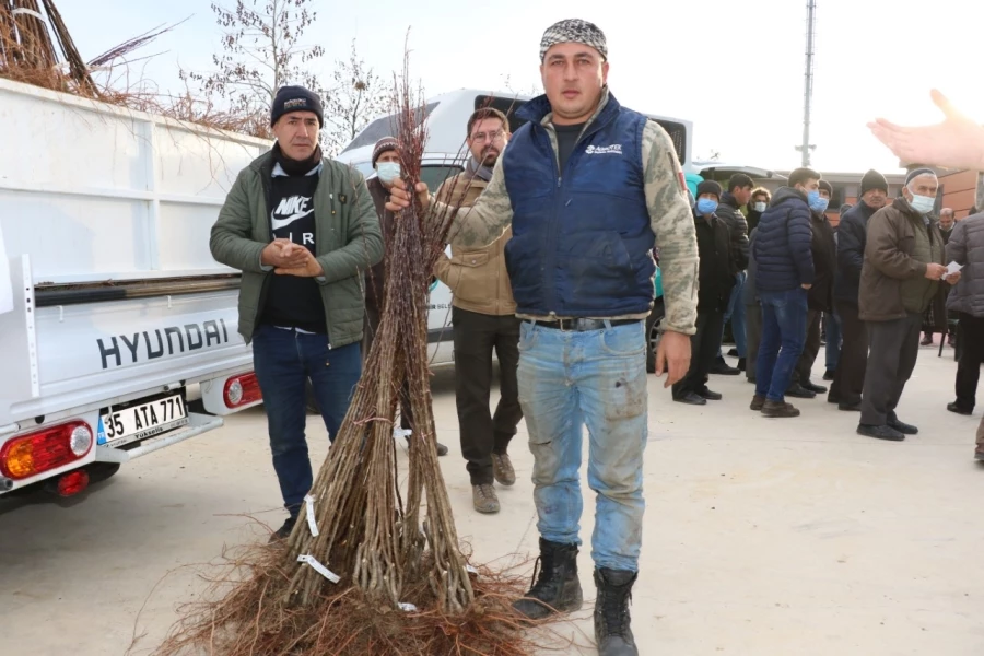 Şehzadeler’de Üreticilere Meyve Fidanı Dağıtıldı