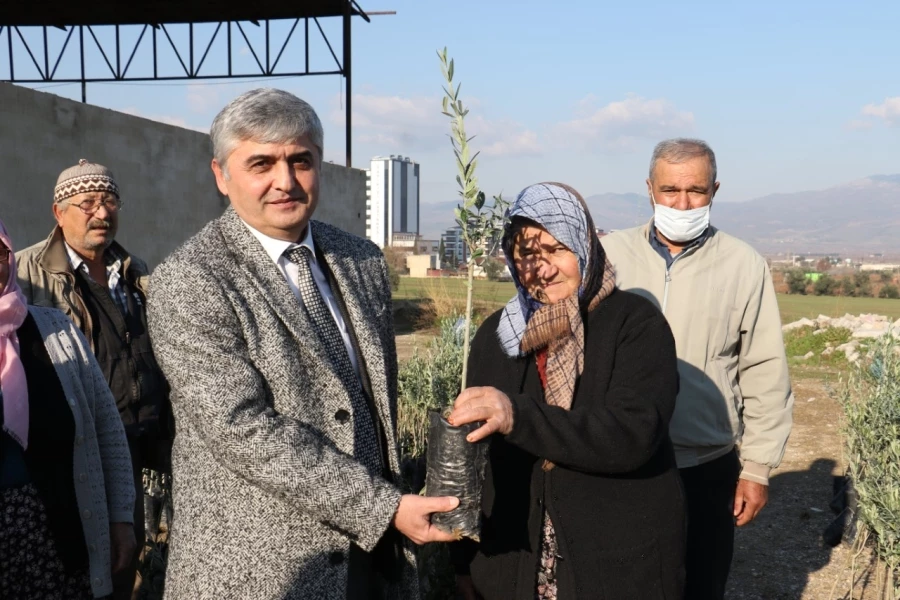 Büyükşehir, 100 Bin Meyve Fidanını Üreticilere Teslim Etti