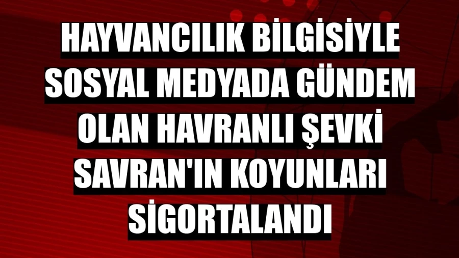 Hayvancılık bilgisiyle sosyal medyada gündem olan Havranlı Şevki Savran