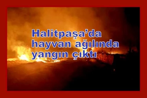 Halitpaşa’da hayvan ağılında yangın çıktı