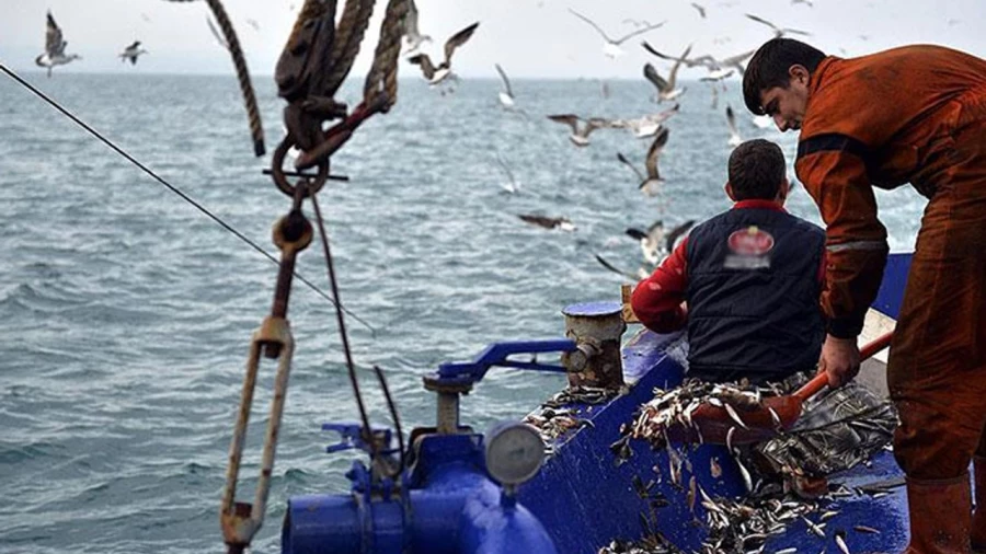 Balıkçılıkta av yasağı bitiyor