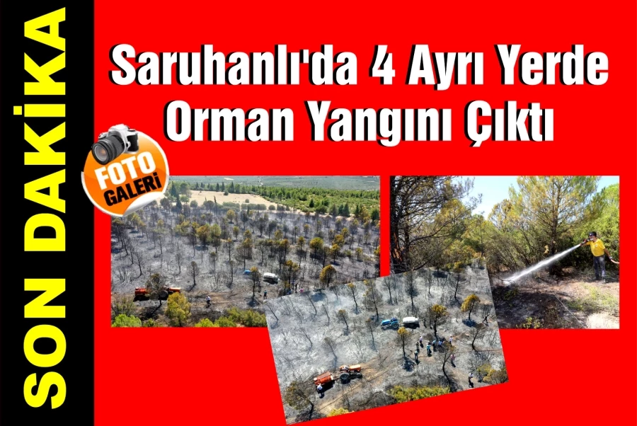 Saruhanlı’da Orman Yangını