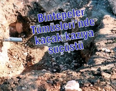 Bintepeler Tümüsleri’nde kaçak kazıya suçüstü