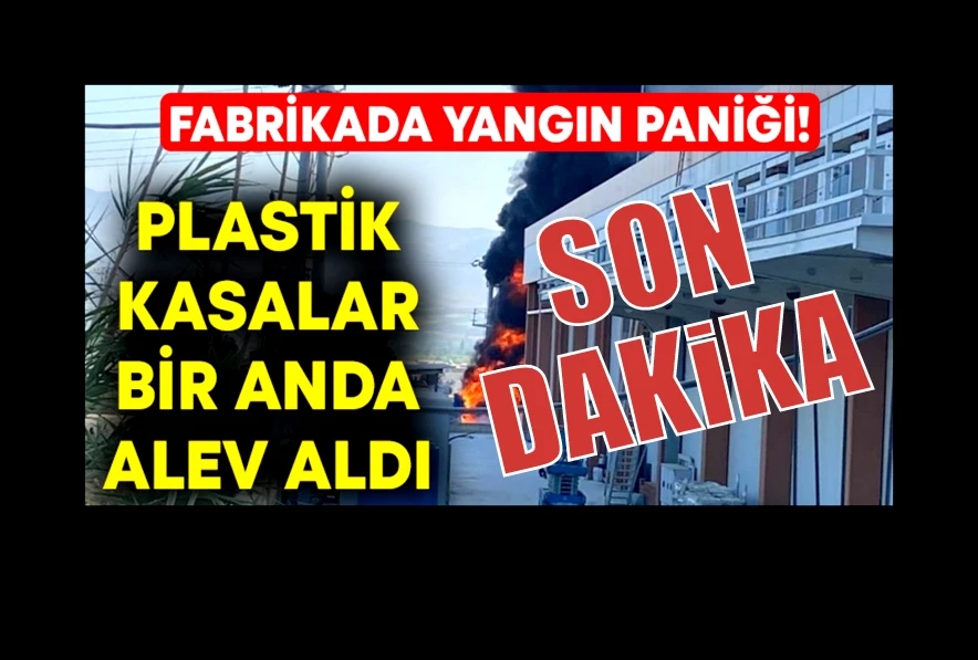 Plastik kasa fabrikasında yangın