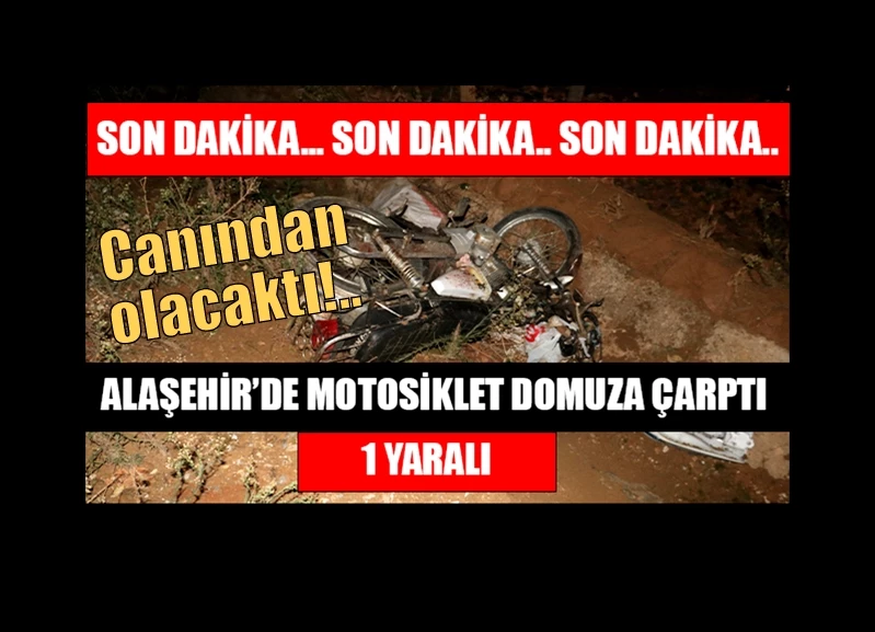 Motosikletle domuza çarpan sürücüsü yaralandı