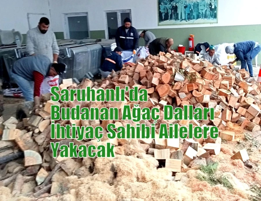 Budanan Ağaç Dalları İhtiyaç Sahibi Ailelere Yakacak Oldu