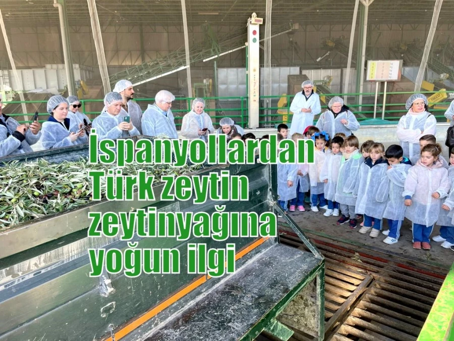 İspanyollardan Türk zeytin zeytinyağına yoğun ilgi