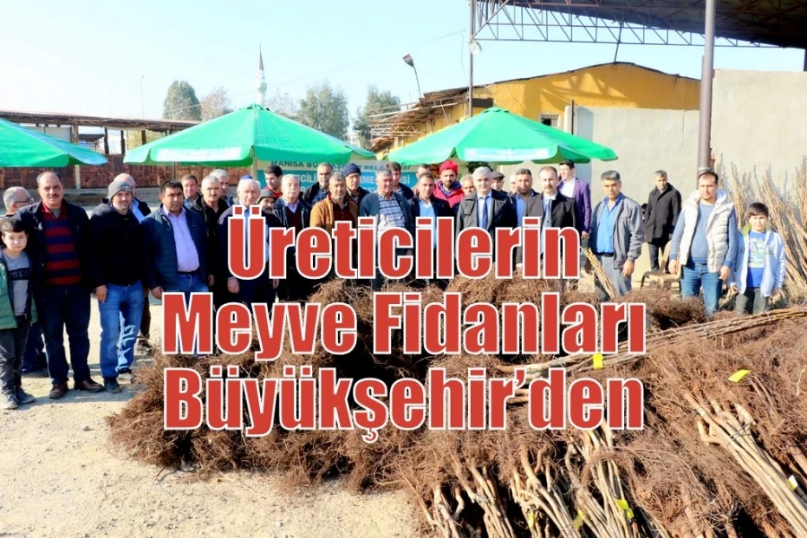 Üreticilerin Meyve Fidanları Büyükşehir’den