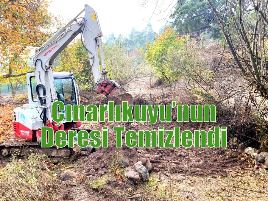 Çınarlıkuyu’nun Deresi Temizlendi