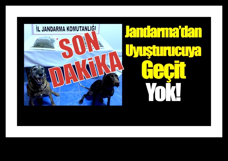 Jandarma’dan uyuşturucuya geçit yok