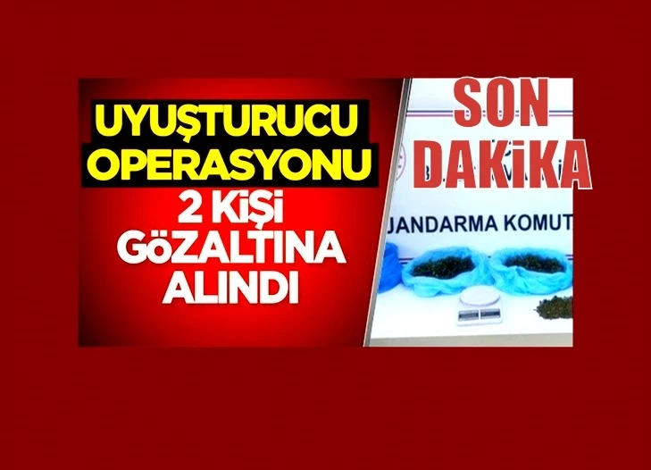 Uyuşturucu operasyonunda 2 kişi gözaltına alındı