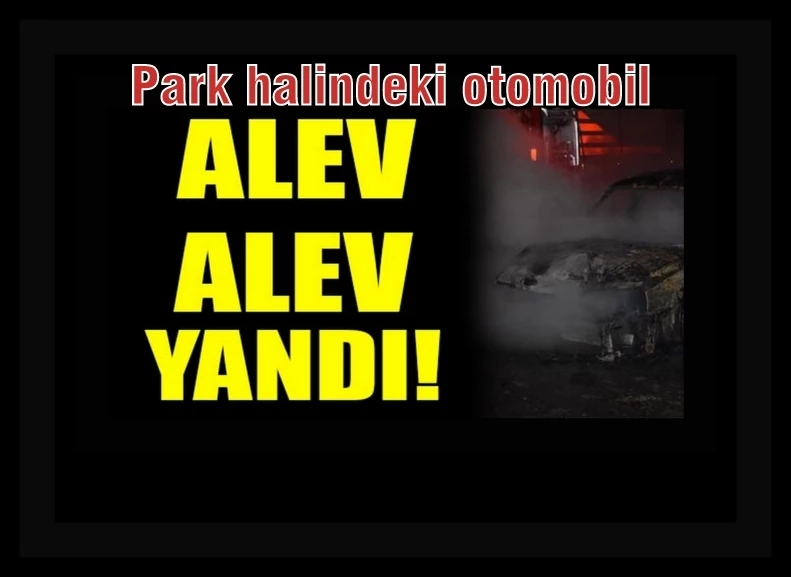 Park halindeki otomobil yanarak kullanılamaz hale geldi