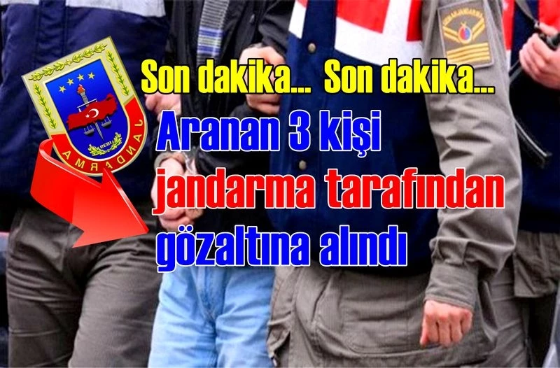 Aranan 3 kişi jandarma tarafından gözaltına alındı