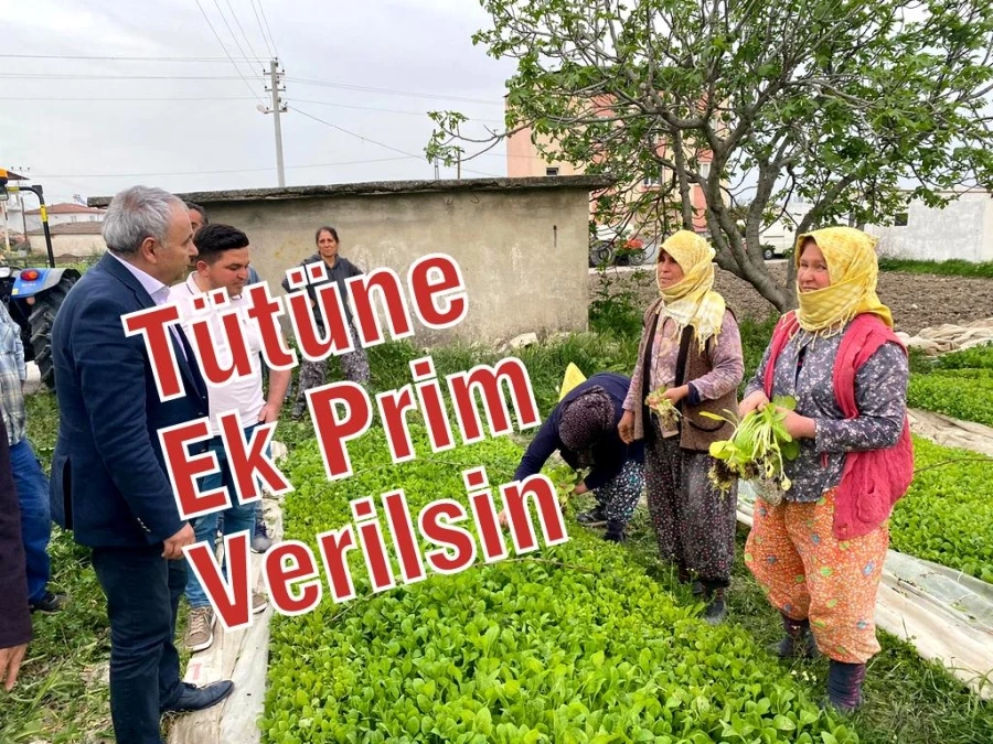 Tütüne Ek Prim Verilsin