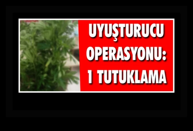 Uyuşturucu Operasyonu, 1 Tutuklama