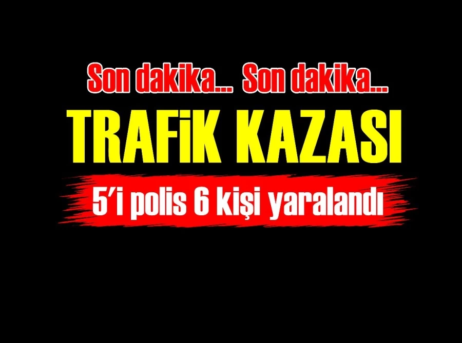 Trafik kazası: 5