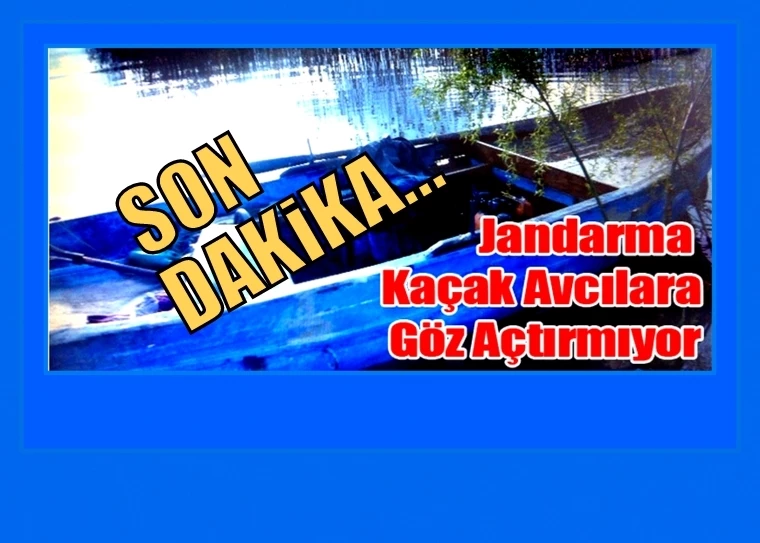 Jandarma Kaçak Balık Avcılarını Göz Açtırmıyor