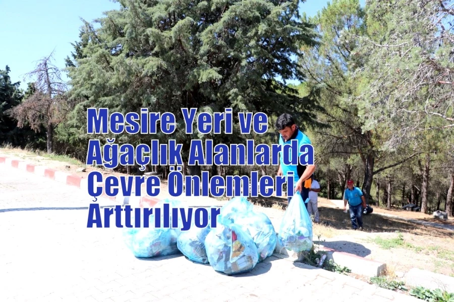 Mesire Yeri ve Ağaçlık Alanlarda Çevre Önlemleri Arttırılıyor