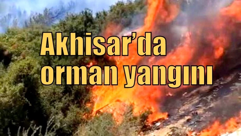 Akhisar’da orman yangını