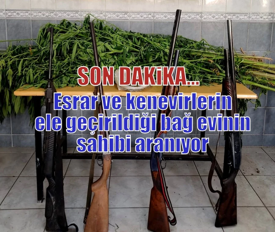 Esrar ve kenevirlerin ele geçirildiği bağ evinin sahibi aranıyor