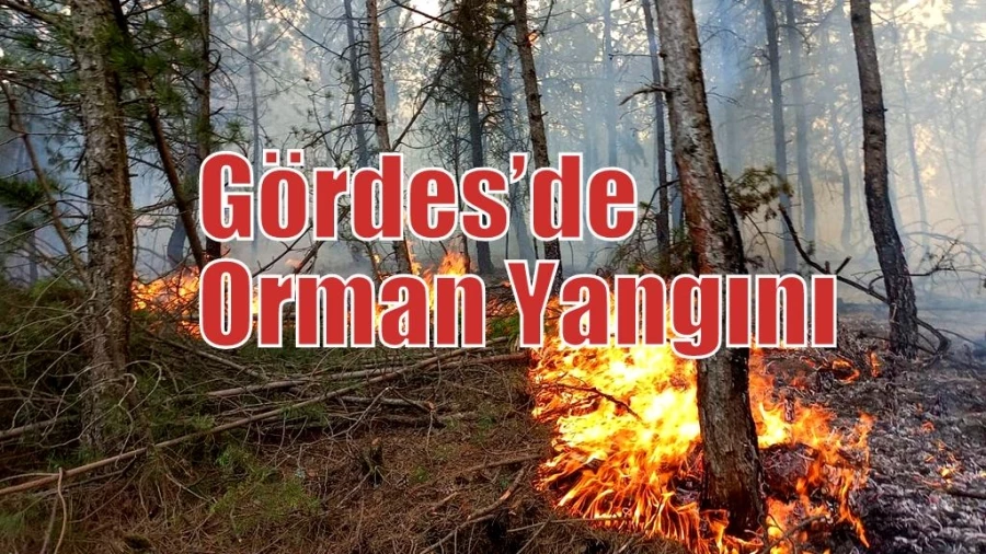 Gördes’de Orman Yangını