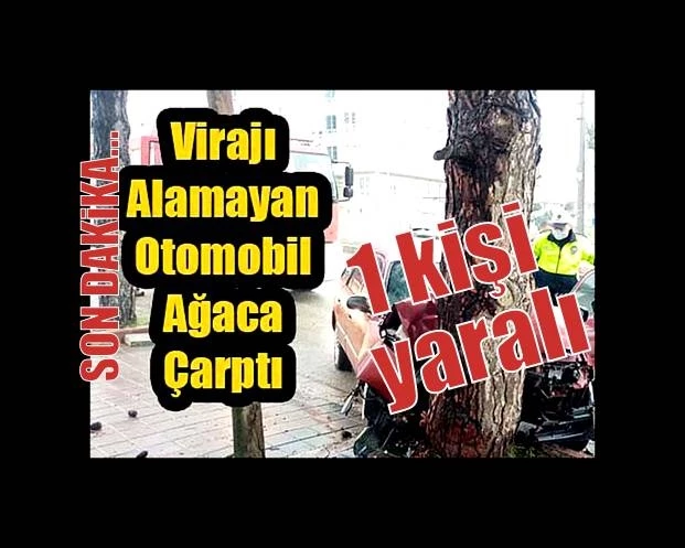 Virajı alamayan otomobil ağaca çarptı: 1 yaralı