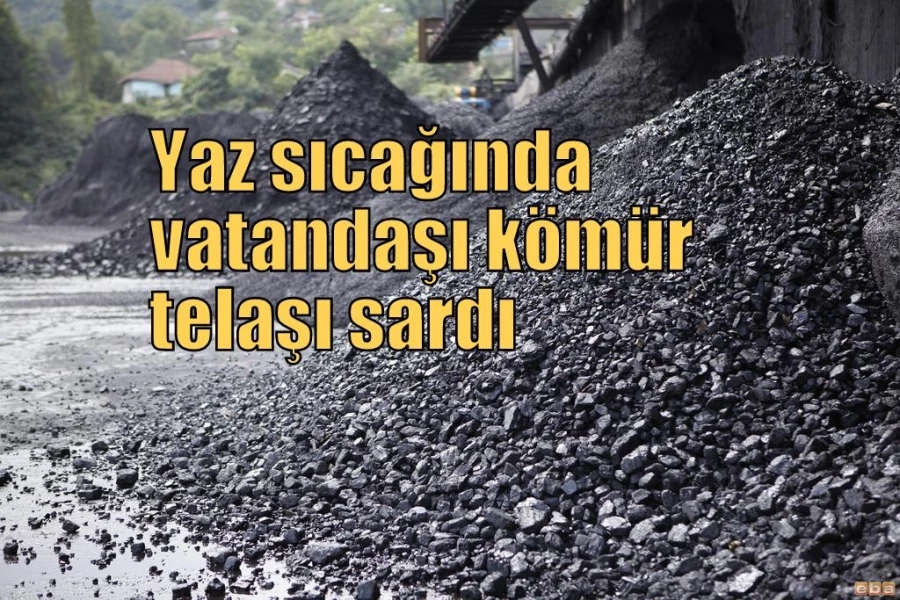 Yaz sıcağında vatandaşı kömür telaşı sardı