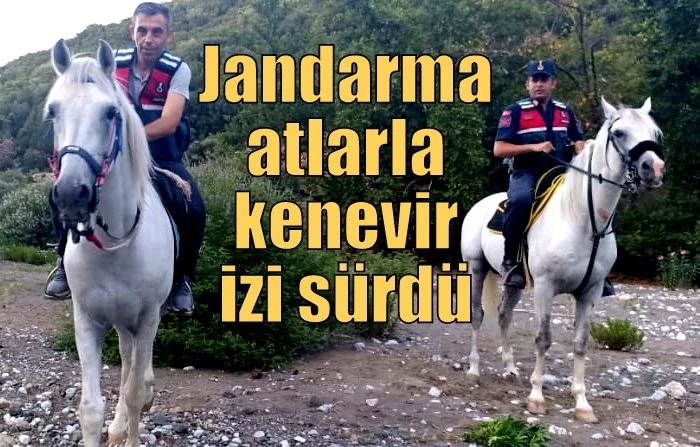 Jandarma atlarla kenevir izi sürdü