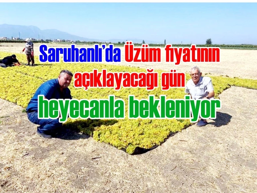 Üzüm fiyatının açıklayacağı gün heyecanla bekleniyor