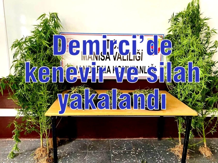 Demirci’de kenevir ve silah yakalandı