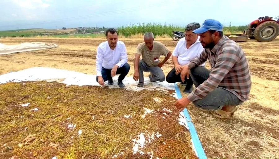 CHP’li Başevirgen, “Manisalı Üzüm Üreticisini Fiyattan Sonra Bir De Dolu Vurdu”