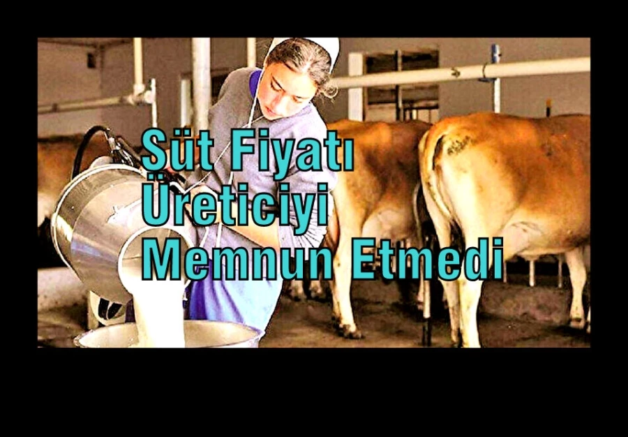 Süt Fiyatı Üreticiyi Memnun Etmedi