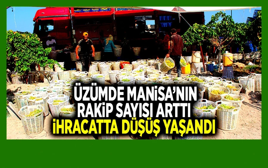 Üzümde rakip ülke sayısı artıyor… Son zamanda ihracatta düşüş yaşandı