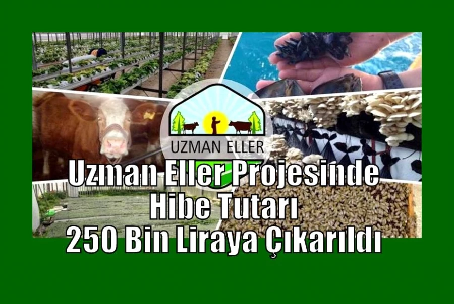 Uzman Eller Projesinde Hibe Tutarı 250 Bin Liraya Çıkarıldı