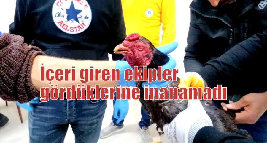 İçeri giren ekipler gördüklerine inanamadı