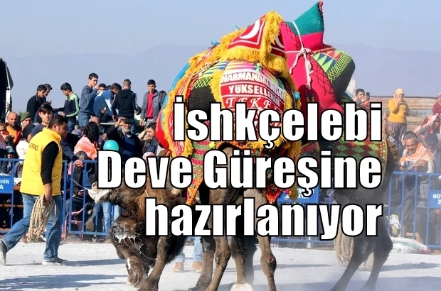 İshkçelebi Deve Güreşi hazırlanıyor