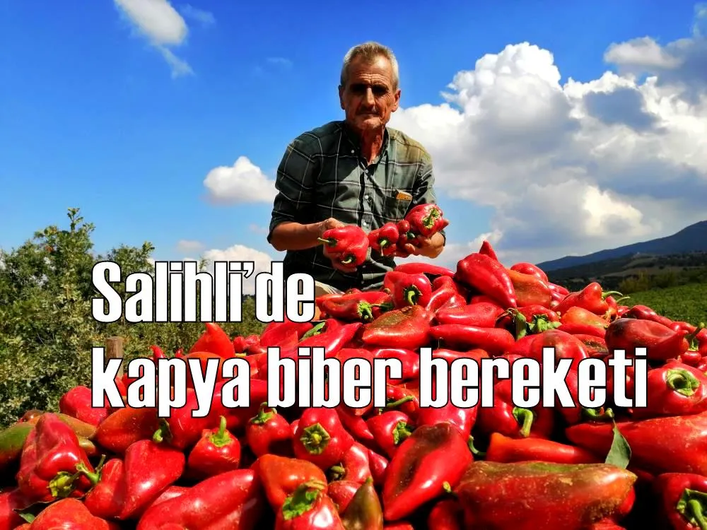 Salihli’de kapya biber bereketi