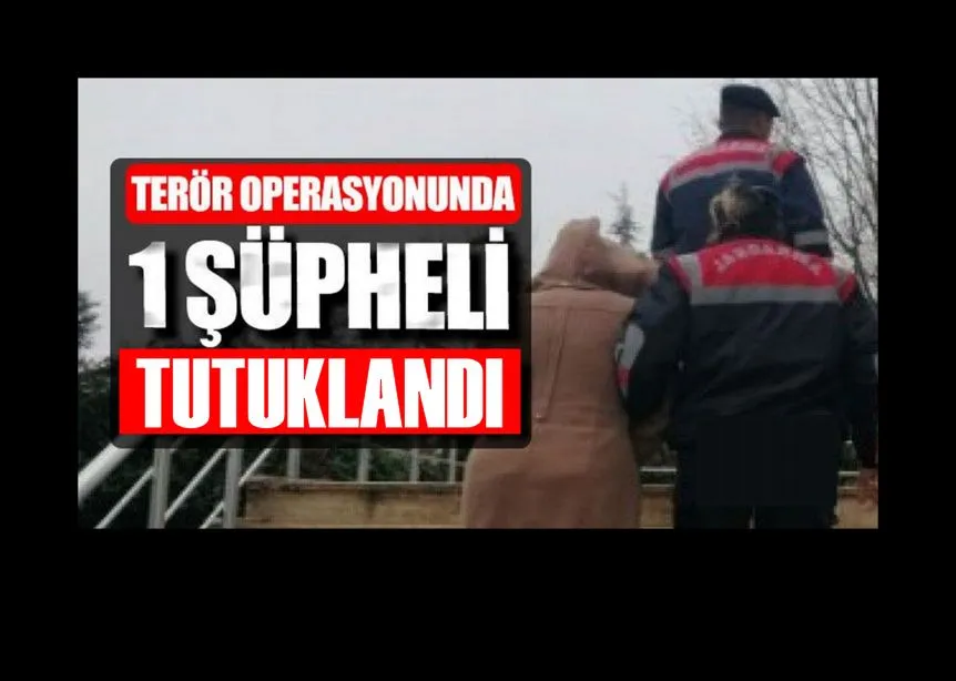 Terör örgütü propagandasına jandarma operasyonu