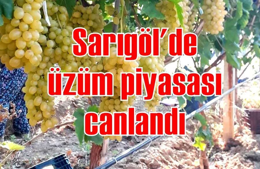 Sarıgöl