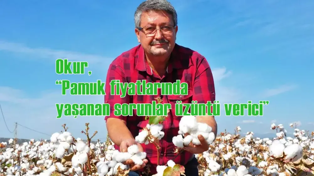 Okur, “Pamuk fiyatlarında yaşanan sorunlar üzüntü verici”