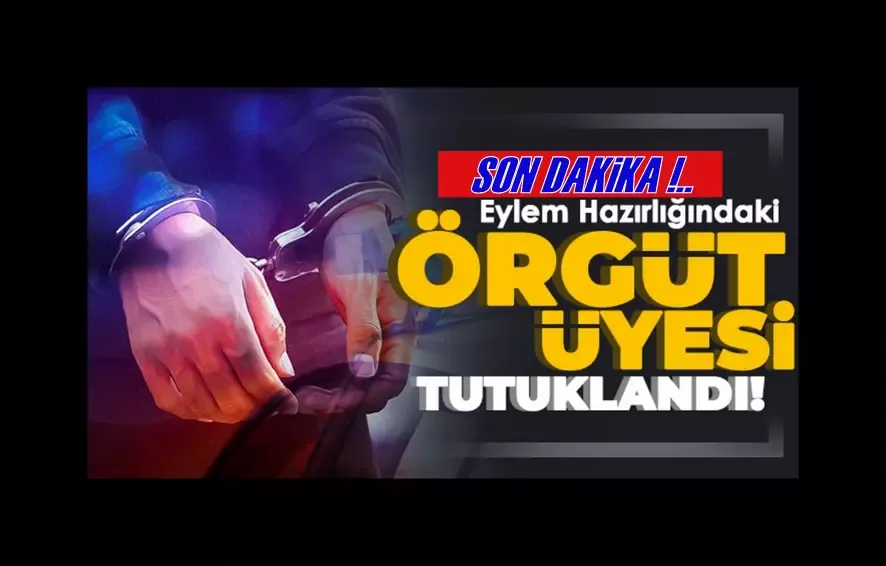 Yakalanan örgüt üyesi tutuklandı