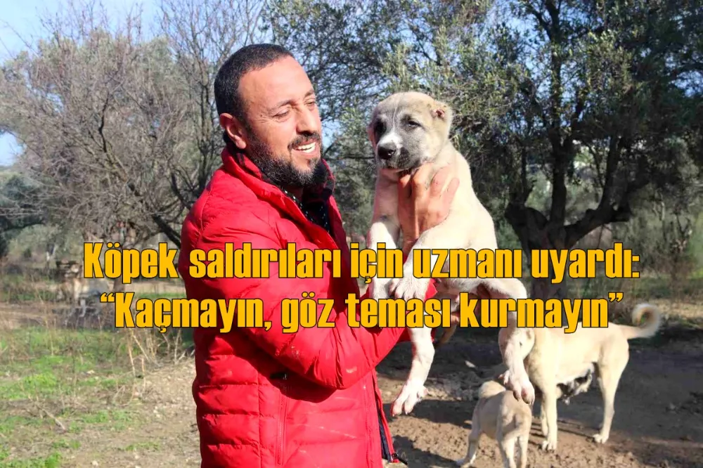 Köpek saldırıları için uzmanı uyardı: “Kaçmayın, göz teması kurmayın”