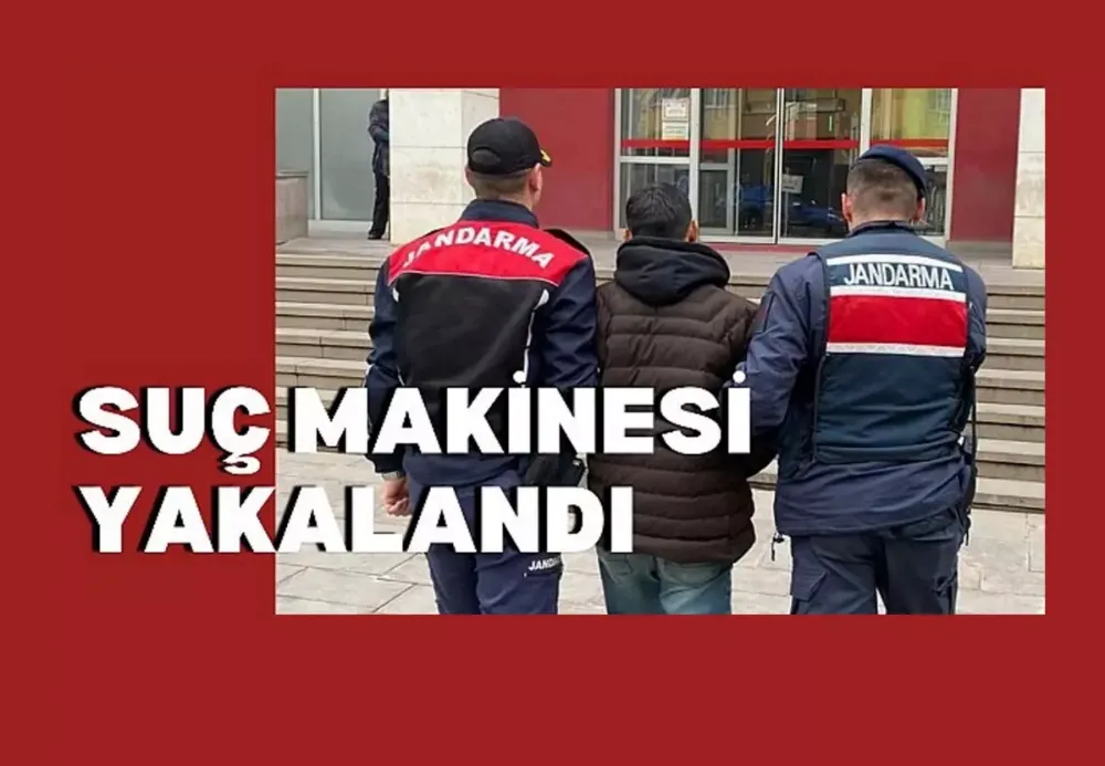 Suç makinesi yakalandı