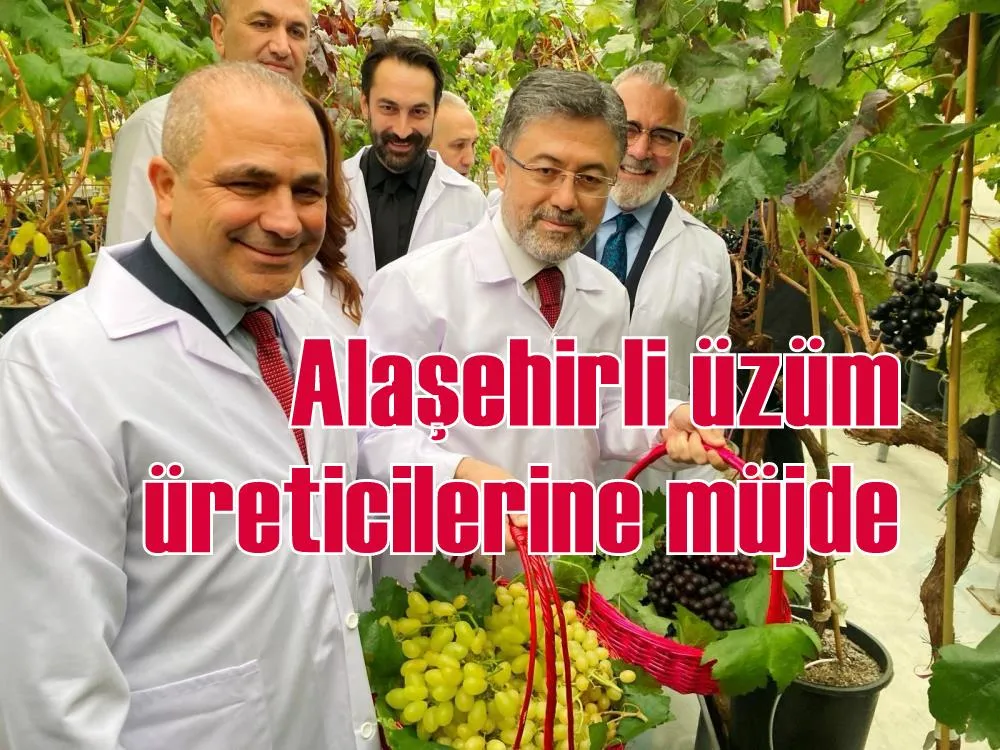 Alaşehirli üzüm üreticilerine müjde