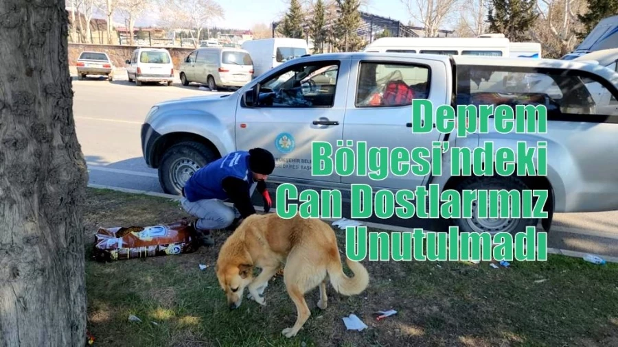 Deprem Bölgesi’ndeki Can Dostlarımız Unutulmadı